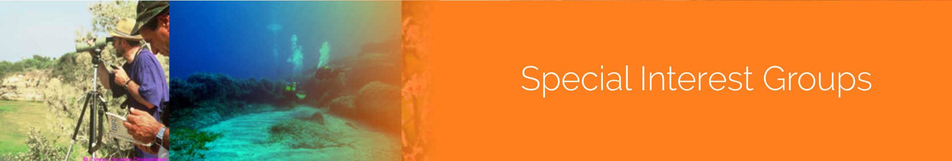 special interest groups cyprus